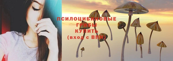 стафф Абдулино