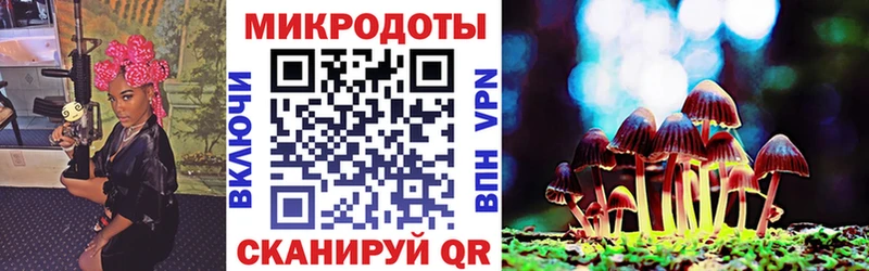 MEGA tor  Чулым  Галлюциногенные грибы прущие грибы 